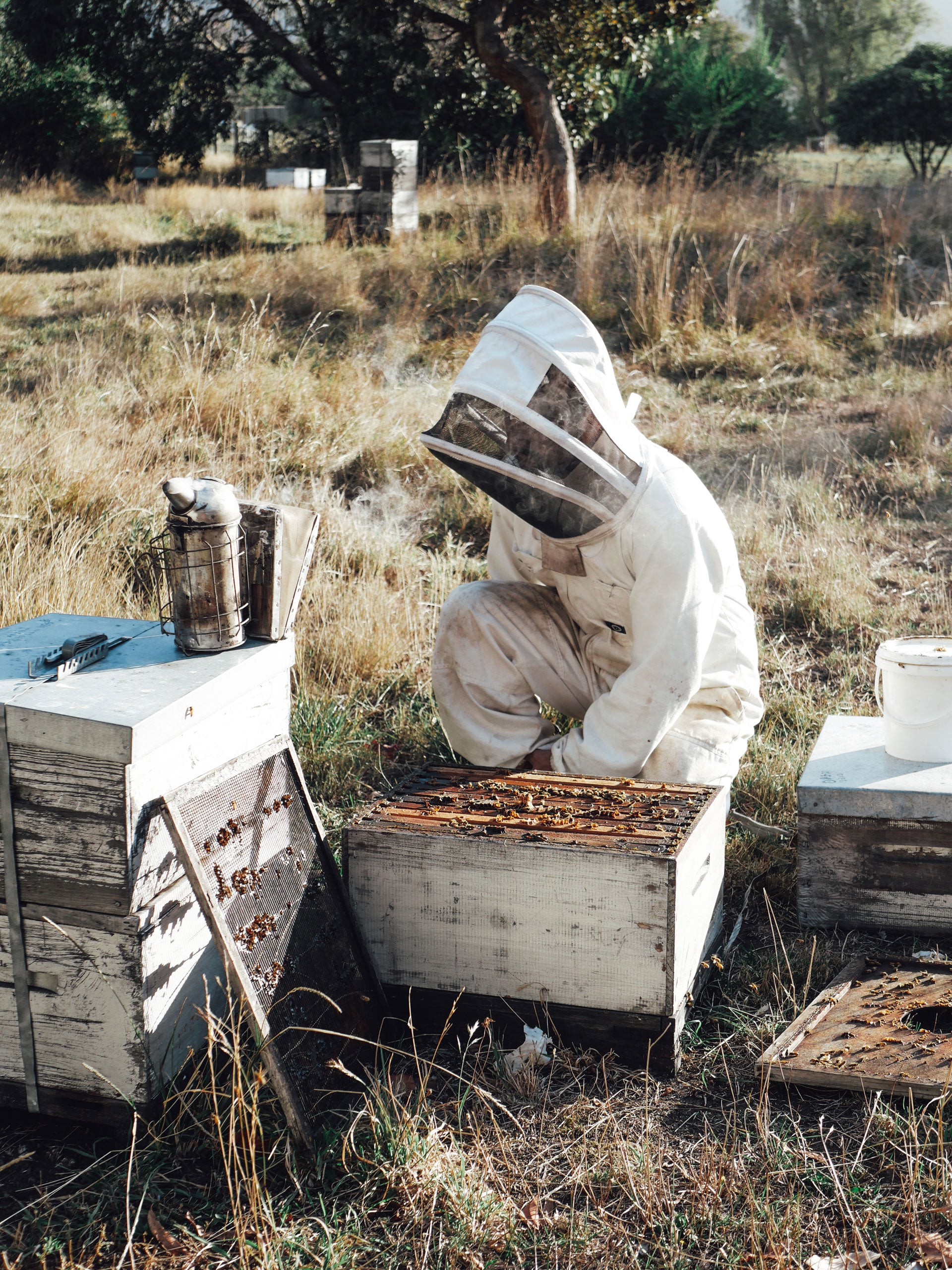 BeeBox — Cafés in Timaru