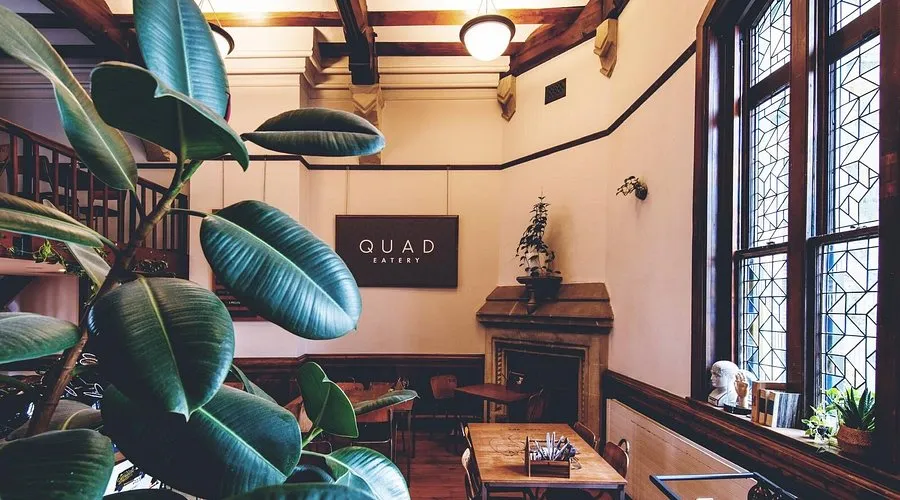 Quad Eatery — Cafés in Christchurch