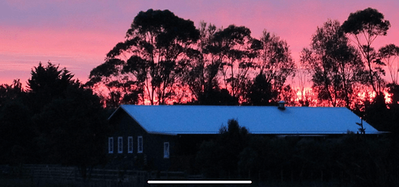 The Woolshed Cafe — Cafés in Sanson
