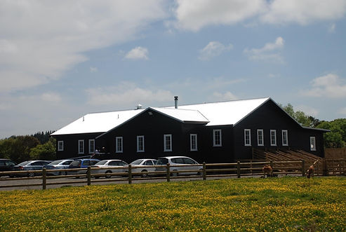 The Woolshed Cafe — Cafés in Sanson