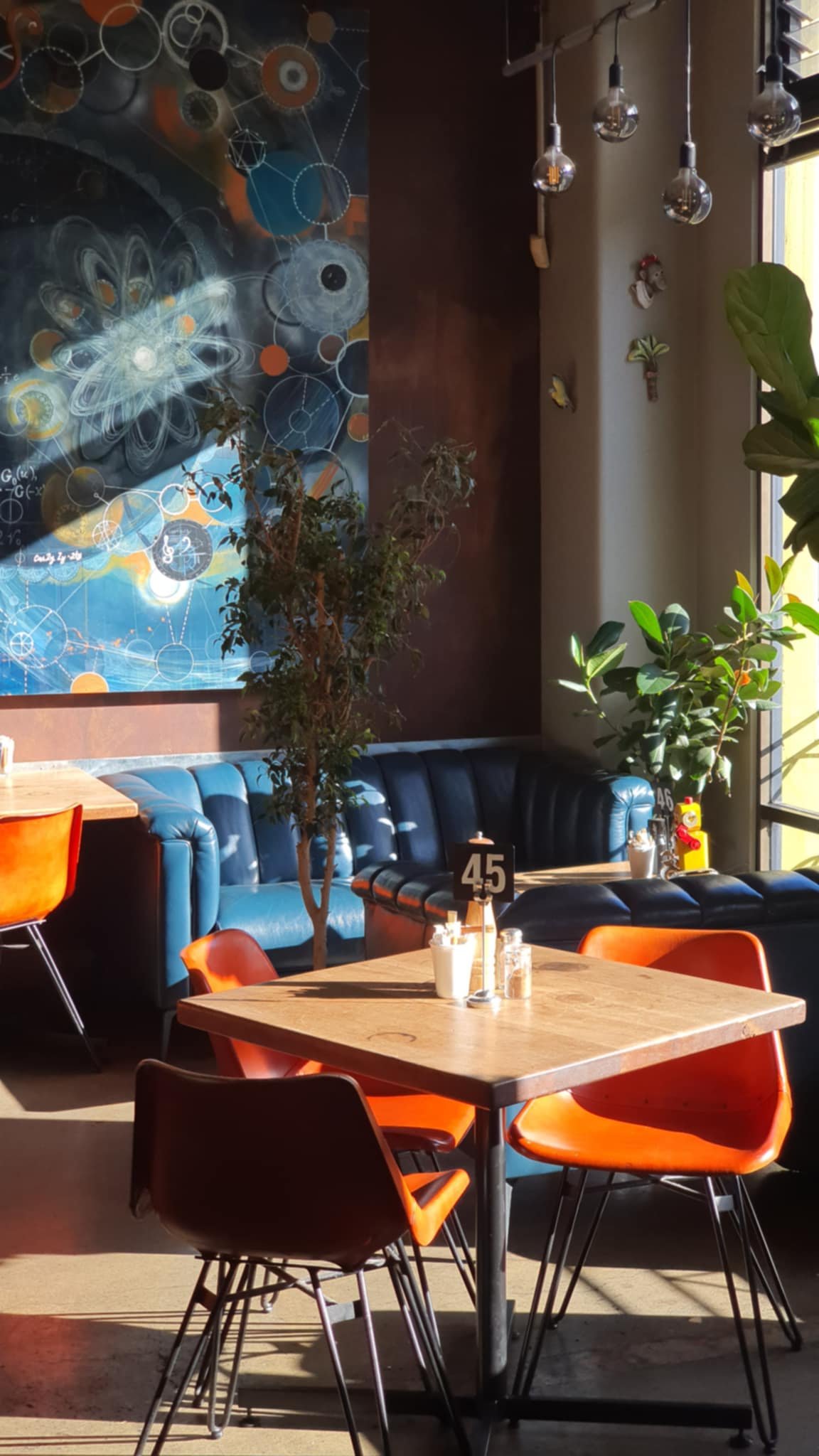 Chaos Cafe — Cafés in New Plymouth