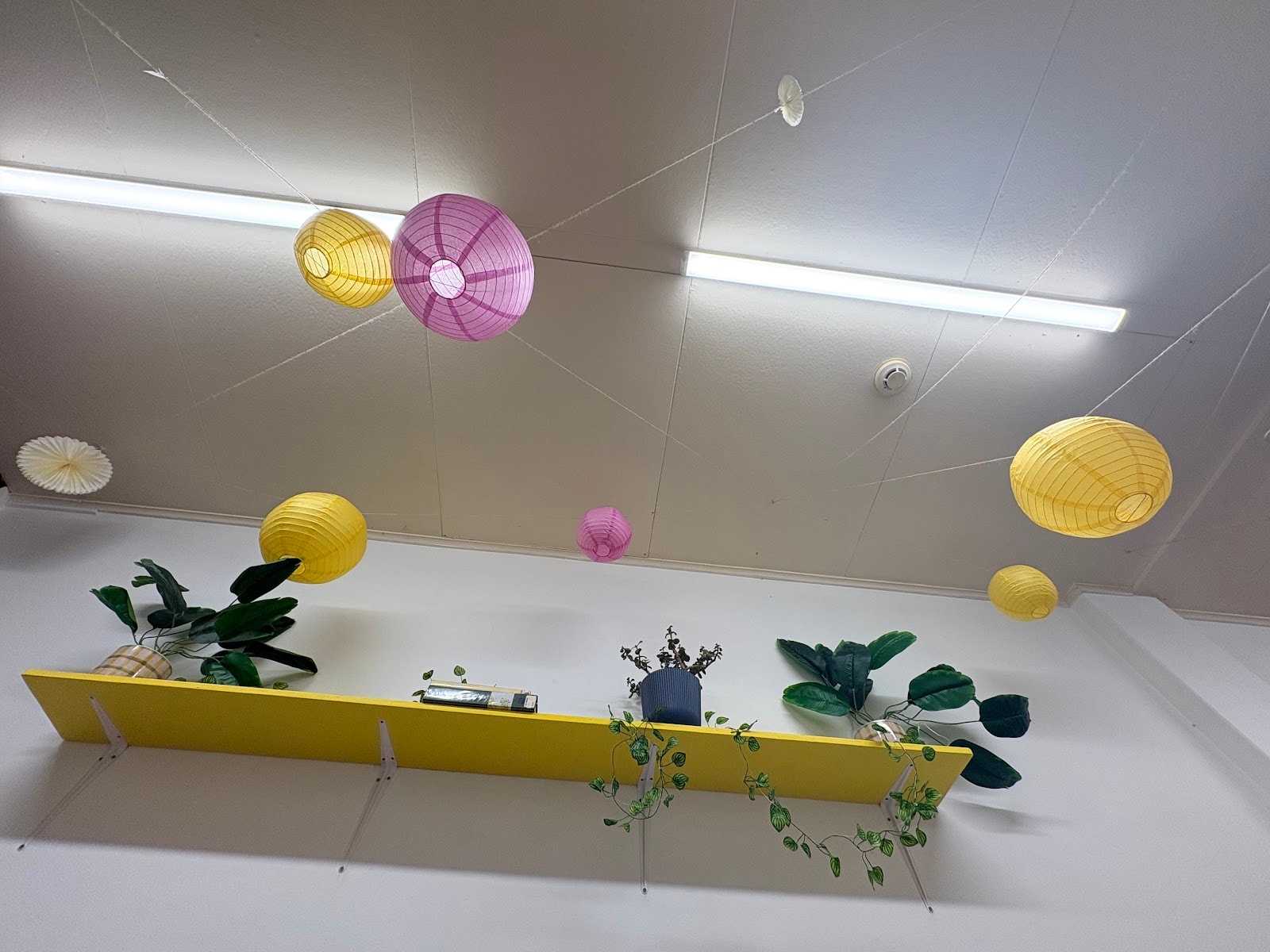 Banana Blossom Cafe — Cafés in Tauranga