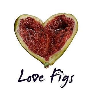 The Figgery Cafe & Shop