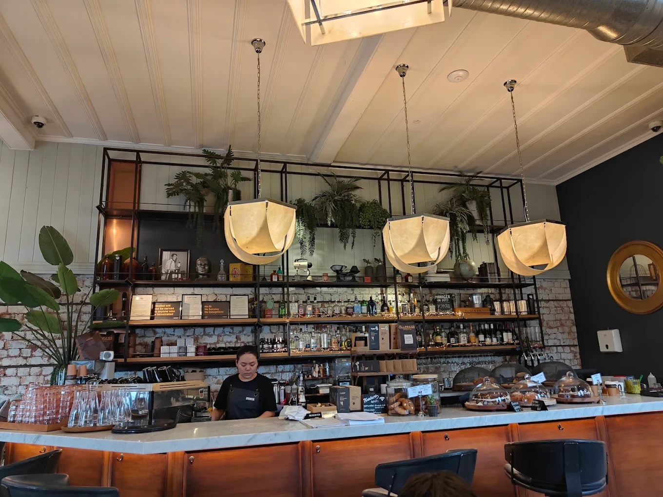 Frasers — Cafés in Albert-Eden