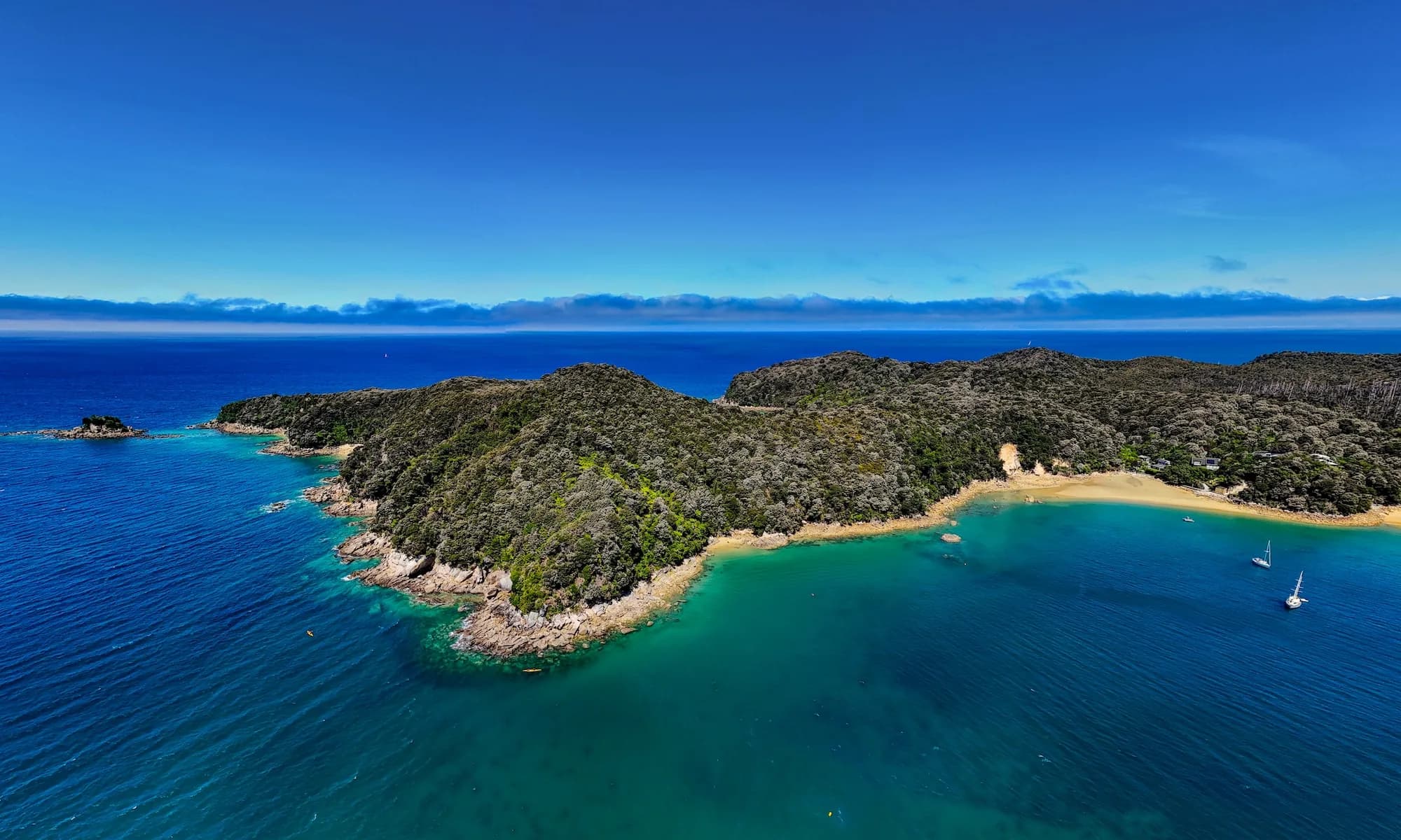 Tasman Business Directory
